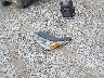 1GKKNXLS0HZ****** Destrozados 2017 GMC Acadia en Estado de Kentucky