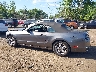 1ZVBP8EM6E5****** Repairable 2014 Ford Mustang in New Jersey State