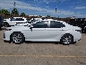 4T1H31AK7PU****** Salvage 2023 Toyota Camry