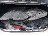 4T1H31AK7PU****** Wrecked 2023 Toyota Camry in Colorado State
