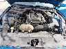1FATP8UH8K5****** Reparables 2019 Ford Mustang en Kansas City East