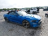 1FATP8UH8K5****** Salvamento y Destrozados 2019 Ford Mustang en Kansas City East