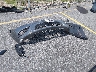 3N1CN7AP4KL****** Destrozados 2019 Nissan Versa en Estado de Carolina del Sur