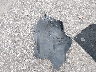 3FA6P0UU6JR****** Wrecked 2018 Ford Fusion Hybrid in Michigan State