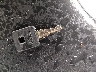 1HD1CZ3129K****** Salvage 2009 Harley-Davidson Nightster in Minnesota State
