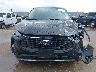 1FMCU9GN1SU****** Destrozados 2025 Ford Escape en Estado de Texas