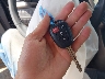 5TDBKRFH4GS****** Salvage 2016 Toyota Highlander in South Dakota State