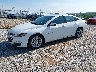 1G1ZD5ST8MF****** Usados y Reparables 2021 Chevrolet Malibu en Springfield