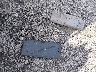 4T1BF3EKXAU****** Wrecked 2010 Toyota Camry in South Carolina State