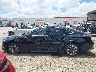 KMHL54JJ8RA****** Reparables 2024 Hyundai Sonata Hybrid en Estado de Texas