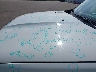 ZACNJBBB7LP****** Salvamento y Reparables 2020 Jeep Renegade en Estado de Minnesota