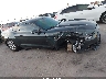 1FA6P8AM0F5****** Salvamento y Destrozados 2015 Ford Mustang en Austin North