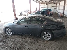 1N4AA5AP0DC****** Repairable 2013 Nissan Maxima in Nebraska State