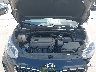 KNDPM3AC1M7****** Repairable 2021 Kia Sportage in Dallas