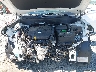 KM8R54GE1RU****** Reparables 2024 Hyundai Palisade en Tifton