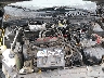 1FAHP36N69W****** Reparables 2009 Ford Focus en Greenville