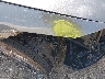 KMHLS4DG5RU****** Repairable 2024 Hyundai Elantra