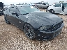1ZVBP8CF6D5****** Salvamento y Destrozados 2013 Ford Mustang en Corpus Christi