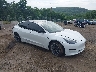 5YJ3E1EA7MF****** Salvage and Wrecked 2021 Tesla Model 3 in Port Murray