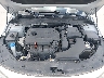5XXGT4L38KG****** Repairable 2019 Kia Optima in Dallas