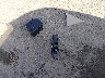 1GYS4HEF4CR****** Destrozados 2012 Cadillac Escalade ESV en Estado de Mississippi