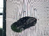 5YJ3E1EA1PF****** Reparables 2023 Tesla Model 3 en Houston North