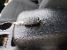 5XYPG4A3XKG****** Salvage 2019 Kia Sorento in Kentucky State