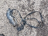 KMHCT5AE4EU****** Destrozados 2014 Hyundai Accent en Estado de Hawaii