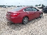 1N4AL3AP6GC****** Salvage and Wrecked 2016 Nissan Altima in Texas State