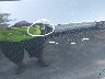 4T4BF1FK5CR****** Repairable 2012 Toyota Camry in Maryland State