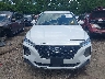 5NMS2CAD5LH****** Destrozados 2020 Hyundai Santa Fe en Estado de Ohio