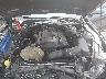 1FATP8UH1K5****** Reparables 2019 Ford Mustang en Pulaski