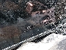 1GKS2GRD7SR****** Wrecked 2025 GMC Yukon XL