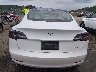 5YJ3E1EB7MF****** Wrecked 2021 Tesla Model 3
