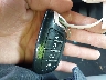 19XFC1F30LE****** Salvage 2020 Honda Civic in Maryland State
