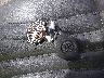1HD1KZF29MB****** Salvage 2021 Harley-Davidson FLTRK in West Virginia State