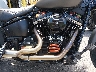 1HD1YJJ20KB****** Destrozados 2019 Harley-Davidson Street Bob en Rec Rides Online Exclusive