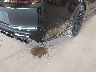 1ZVBP8AM9D5****** Salvamento y Reparables 2013 Ford Mustang en Chattanooga
