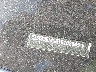 5UX33EM08T9****** Wrecked 2026 BMW X7
