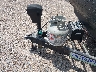 5SFPB3023HE****** Reparables 2017 Heartland RV Pioneer, Prowler, & Prowler Lnyx en Gulf Coast