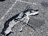 JHLRE48757C****** Wrecked 2007 Honda CR-V in Nevada State