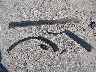 KNDEPCAA9R7****** Wrecked 2024 Kia Seltos in Georgia State