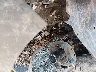 KNDEPCAA9R7****** Repairable 2024 Kia Seltos in Georgia State
