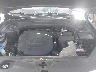 5XYP24GC3RG****** Repairable 2024 Kia Telluride in Houston
