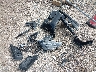 1FA6P8TH9R5****** Wrecked 2024 Ford Mustang in Texas State