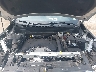 3GKALXEX7LL****** Reparables 2020 GMC Terrain en South Bend