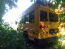 1GB3G3BL7B1****** Salvage and Repairable 2011 Chevrolet Bus Express Cutaway in Specialty Division