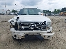 1FTFW1EV1AF****** Wrecked 2010 Ford F-150 in Georgia State