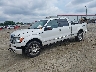 1FTFW1EV1AF****** Used and Repairable 2010 Ford F-150 in Atlanta East