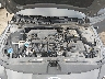 KMHLM4DGXSU****** Repairable 2025 Hyundai Elantra in Knoxville